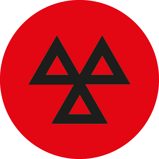 MOT testing Icon